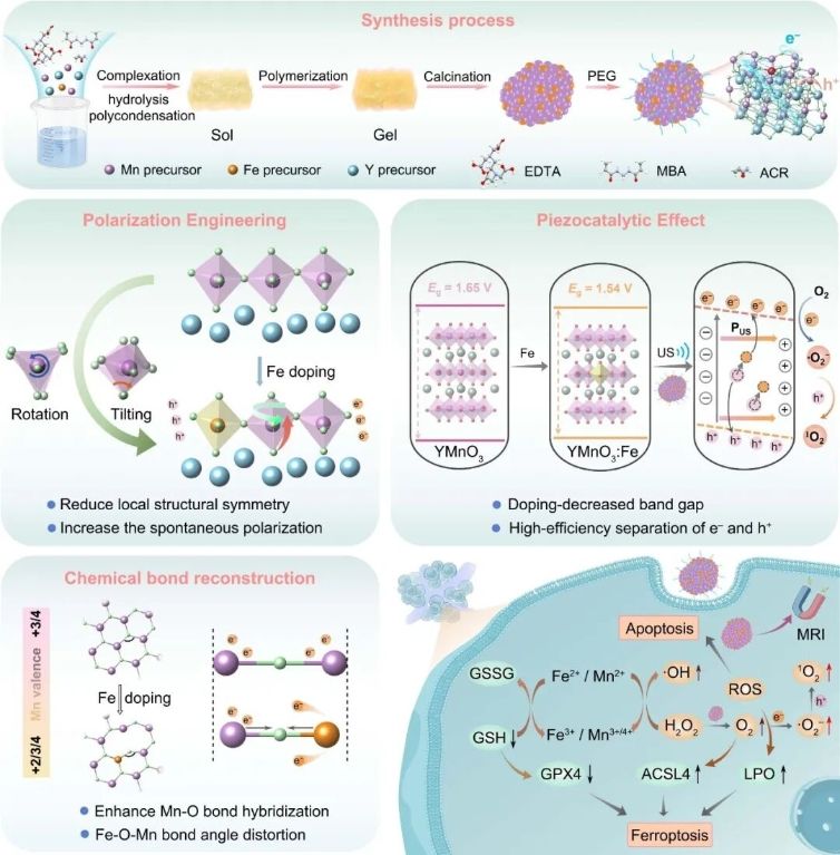 1764727626485679.jpg JACS.jpg