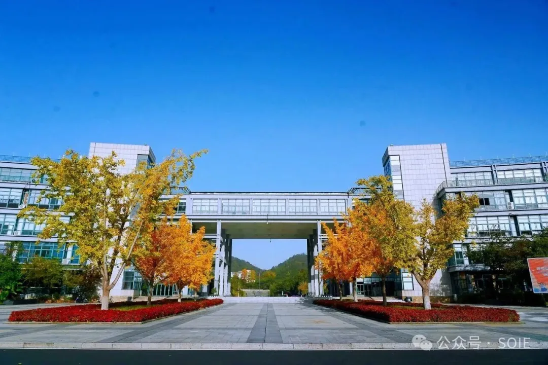 1770973300313824.jpg 6.jpg