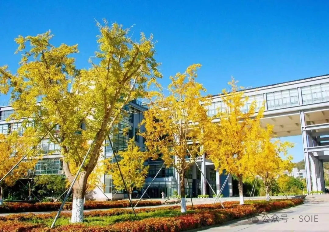 1770974581523495.png 9.png