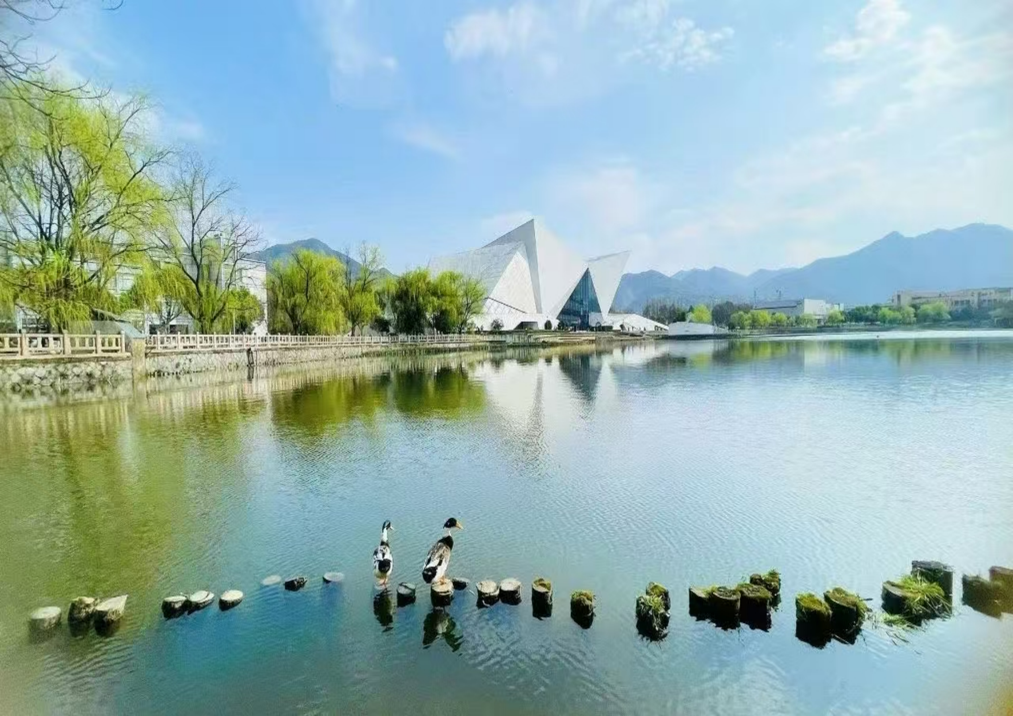 1791969123166294.png 图片1.png